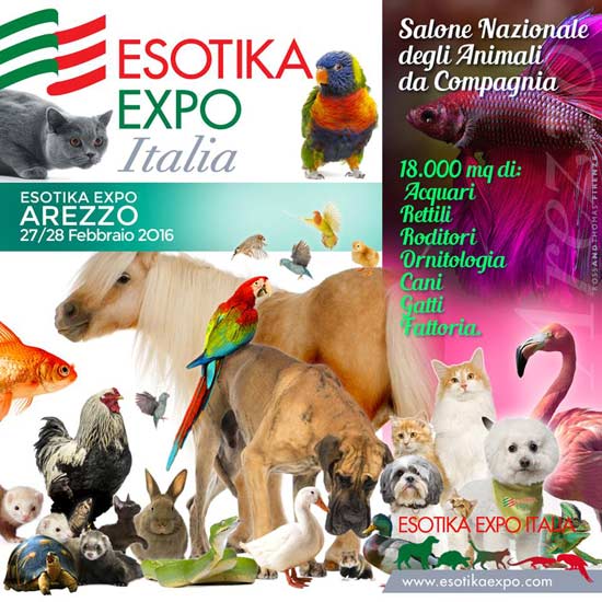 Esotika Expo Arezzo 2016