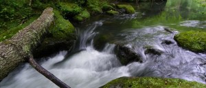 Escursione archeologico-naturalistica nel Parco Valle del Treja a Calcata