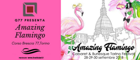 Amazing Flamingo Festival al Q77 di Torino