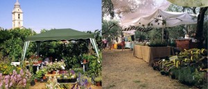 "Festa delle erbe aromatiche, officinali e piante antiche" nel Borgo Rollo di Andora