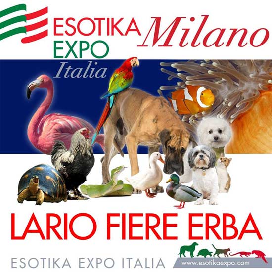 Esotika Expo Milano 2016
