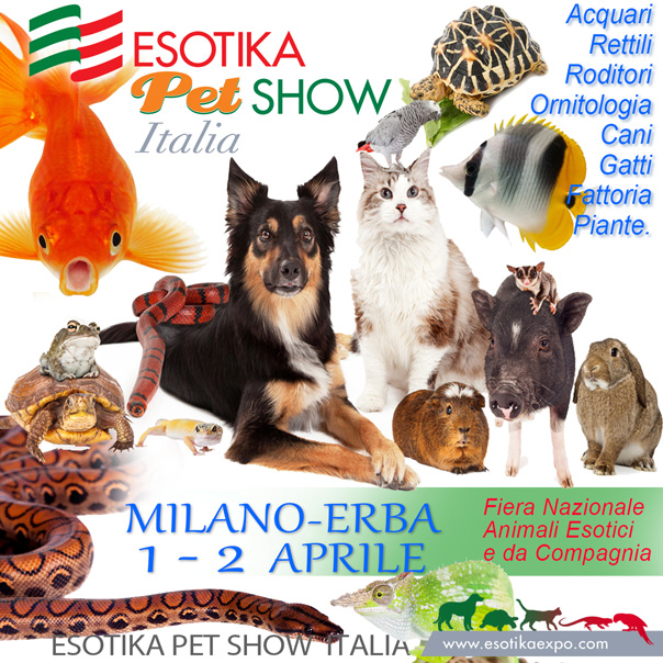 Esotika Expo Milano 2017