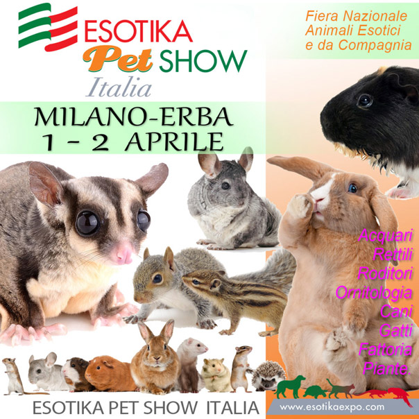 Esotika Expo Milano 2017
