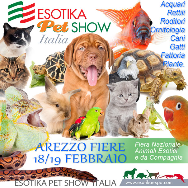 Esotika Expo Arezzo 2017