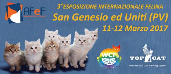 Esposizione internazionale felina al Centro Polifunzionale di San Genesio ed uniti