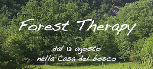"Forest Therapy" Parco Naturale della Valle della Lupa