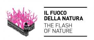 fuoco-della-natura