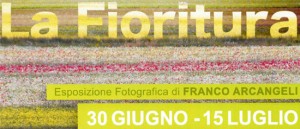 La Fioritura, esposizione fotografica di Franco Angeli