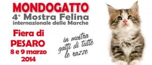 Mondogatto Mostra Felina Internazionale delle Marche a Pesaro Fiere