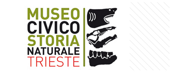 Civico Museo di Storia Naturale a Trieste