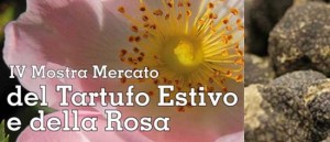 “AESTIVUM”, IVª Mostra Mercato del Tartufo Estivo e della Rosa